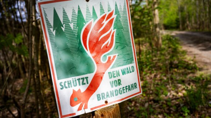 Waldbrandgefahr -Trockenheit Wälder Von der Waldbrandgefahr in Norddeutschland ist besonders Mecklenburg-Vorpommern betroffen. (Archivbild)