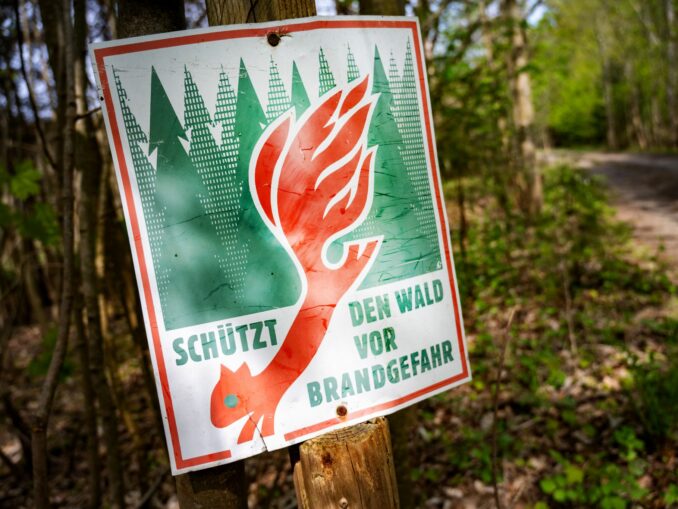Von der Waldbrandgefahr in Norddeutschland ist besonders Mecklenburg-Vorpommern betroffen. (Archivbild)