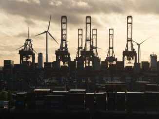 Am Containerterminal Burchardkai fuhr ein Containerschiff gegen den Kai. (Archivbild)