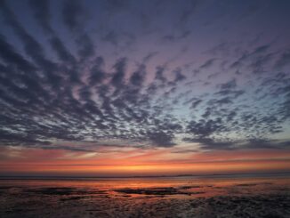 Das Wattenmeer ist von weltweiter Bedeutung. (Archivbild)
