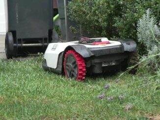 Mähroboter sind eine Gefahr für Igel und andere Tiere. Immer mehr Städte verhängen jetzt ein Nachtfahrverbot für die Geräte. (Symbolbild)