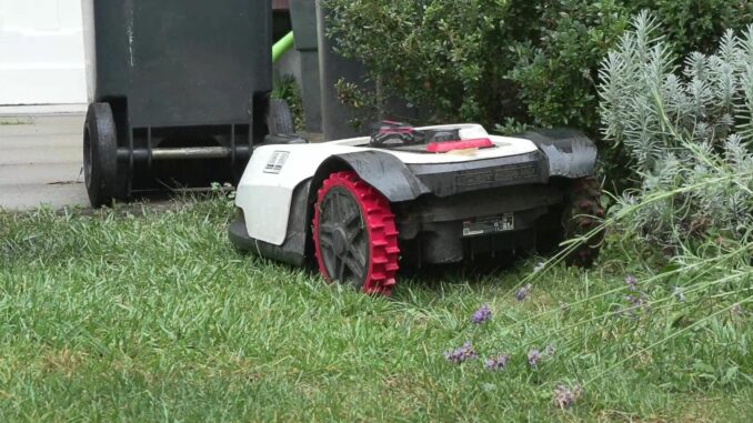 Igelschutz: Nachtfahrverbot für Mähroboter Mähroboter sind eine Gefahr für Igel und andere Tiere. Immer mehr Städte verhängen jetzt ein Nachtfahrverbot für die Geräte. (Symbolbild)