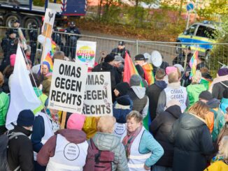Eine frühere Demo gegen die AfD - am Samstag rechnet die Polizei mit knapp über 1000 Demonstranten. (Symbolbild)