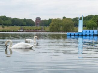Auch das Freibad Stadtparksee hat laut Untersuchung eine ausgezeichnete Qualität. (Archivbild)