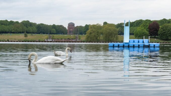 Naturbad Stadtparksee Auch das Freibad Stadtparksee hat laut Untersuchung eine ausgezeichnete Qualität. (Archivbild)