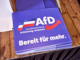 Bei dem geplanten Landesparteitag der Nord-AfD sollen Satzungsänderungen im Fokus stehen. (Symbolbild)