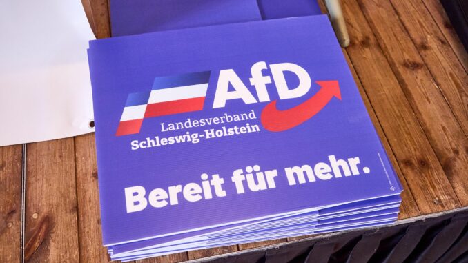 Landesparteitag AfD Schleswig-Holstein Bei dem geplanten Landesparteitag der Nord-AfD sollen Satzungsänderungen im Fokus stehen. (Symbolbild)