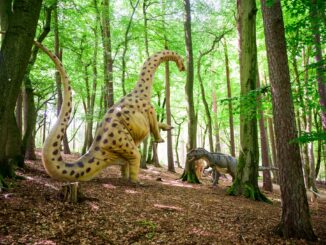 Im Wildpark Schwarze Berge können Besucher die Spuren der Dinosaurier verfolgen.