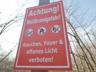 Es wird enorm heiß am Mittwoch - auch im Norden. Damit steigt das Risiko von Waldbränden. (Illustration)