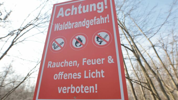 Waldbrandgefahr steigt Es wird enorm heiß am Mittwoch - auch im Norden. Damit steigt das Risiko von Waldbränden. (Illustration)