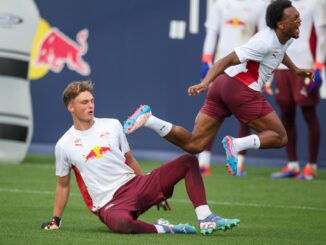 Bald für den HSV im Einsatz: Torwarttalent Fernando Dickes (l).