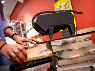 Mit dem 54. «Buxtehuder Bullen» wird ein Buch gewürdigt, dass Flucht-Aktionen aus der DDR beschreibt. (Symbolbild)