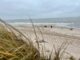 Am Rantumer Strand auf Sylt hat die Polizei einen Hund erschossen, nachdem dieser seinen Besitzer schwer verletzt hat. (Symbolfoto)