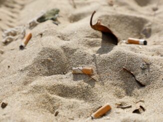 Zigarettenstummel am Strand sind ein Ärgernis für viele Urlauber. (Symbolfoto)