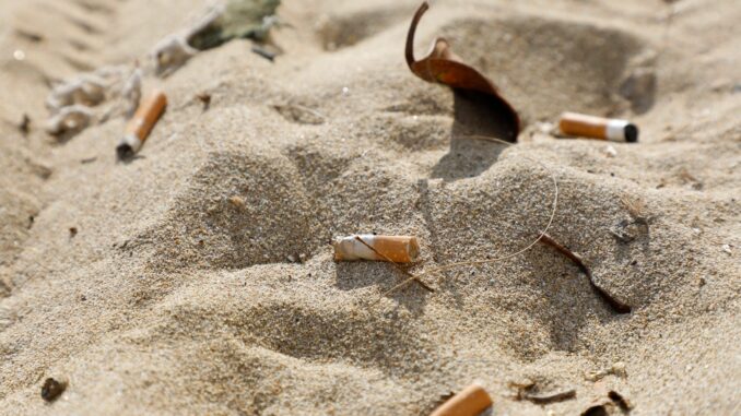 Zigarettenstummel Zigarettenstummel am Strand sind ein Ärgernis für viele Urlauber. (Symbolfoto)