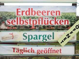 Einige Erdbeerhöfe haben Mindestpflückmengen und EInlassguthaben eingeführt (Archivbild).