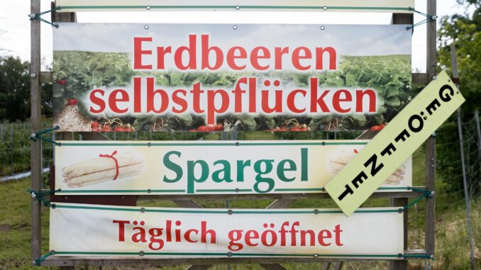 Erdbeer- und Spargelernte Einige Erdbeerhöfe haben Mindestpflückmengen und EInlassguthaben eingeführt (Archivbild).