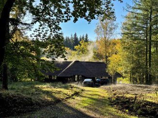 Der Forstgutsbezirk Sachsenwald soll eingemeindet werden. (Archibild)