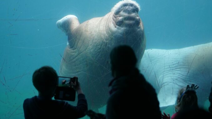 Im Tierpark Hagenbeck in Hamburg können sich Besucher an einigen Orten bei sieben Grad abkühlen (Archivbild).