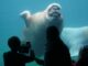 Im Tierpark Hagenbeck in Hamburg können sich Besucher an einigen Orten bei sieben Grad abkühlen (Archivbild).