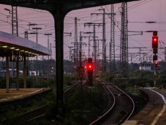 Wegen der ausgebüxten Kühe war der Bahnverkehr um Neumünster eingeschränkt. (Symbolbild)