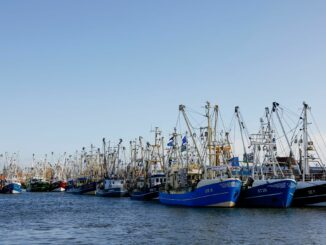 Der Dialog zur Krabbenfischerei im schleswig-holsteinischen Wattenmeer ist vorerst gescheitert. (Archivbild)
