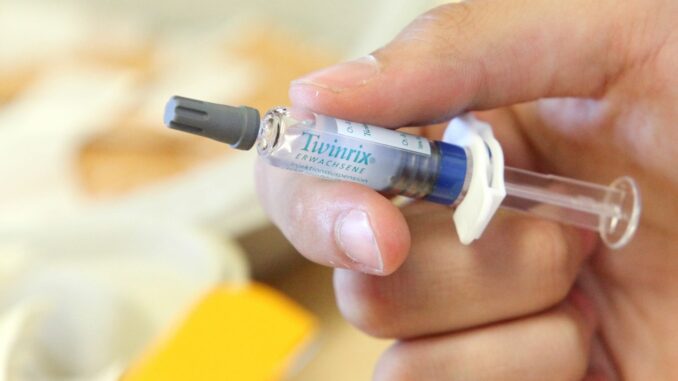 Hepatitis-Impfung Geimpfte Kinder werden in nahegelegten Kitas betreut. (Symbolbild)