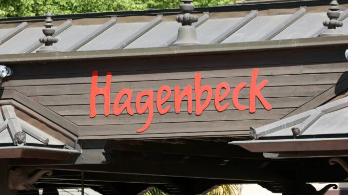 Hagenbeck Tragischer Unfall im Mandrill-Gehege: Ein junger Affe stirbt. (Symbolfoto)