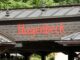 Tragischer Unfall im Mandrill-Gehege: Ein junger Affe stirbt. (Symbolfoto)