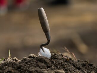 Die Archäologen erhoffen sich durch die Funde neue Erkenntnisse zur Bestattungskultur der mittleren Bronzezeit in Schleswig-Holstein. (Symbolbild)