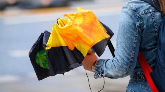 Gewitter, Sonne, Regen – Wetter im Norden bleibt wechselhaft Der Sommer zeigt sich weiterhin von seiner launischen Seite. (Symbolbild)