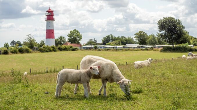 Die Schleswig-Holsteiner fühlen sich mehrheitlich stark mit ihrem Bundesland verbunden, weniger mit Deutschland. (Archivbild)