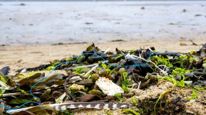 Wattenmeer - Cuxhaven Die ökologische Belastung der deutschen Küsten ist groß - künftig will die Deutsche Bundesstiftung Umwelt pro Jahr 10 Millionen Euro für Schutzprojekte ausgeben.