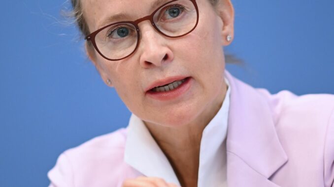 Frauke Brosius-Gersdorf Die Juristin Brosius-Gersdorf sieht sich Angriffen nicht nur aus der Union ausgesetzt. (Archivbild)